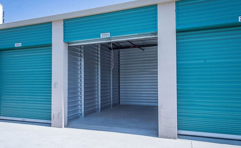 top reasons behind the massive popularity 