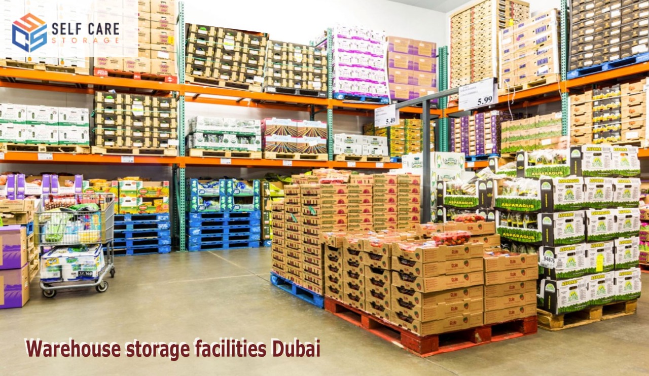  private storage in Dubai