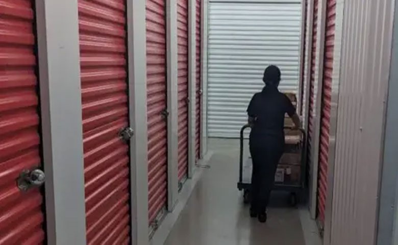 top reasons behind the massive popularity 